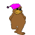 Μια αρκούδα με καπέλο.
