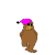 L'orsetto col cappello è il più piccolo.