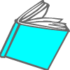 a turquoise book