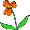 ένα πορτοκαλί λουλούδι