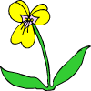 ένα κίτρινο λουλούδι