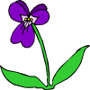 ένα τουρκουάζ λουλούδι