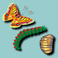Science:<br>Metamorphosis of a Caterpillar