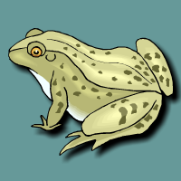 Science:<br>Frog Metamorphosis