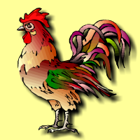 ﻿rooster