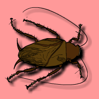 Spanish song: La cucaracha (The cockroach)