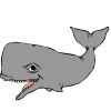 кит