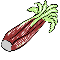 rhubarbe