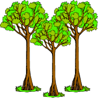 дървета