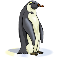 פינגווין