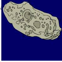 asteroïde