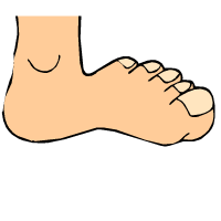 voet