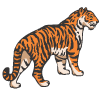 tigre