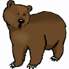 медведь