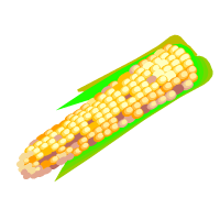 kukurūza