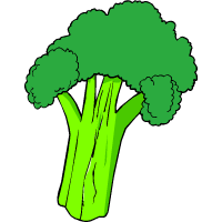 броколи