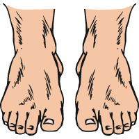 voeten