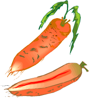 sweetpotato