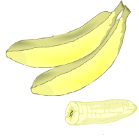 pisangtanduk