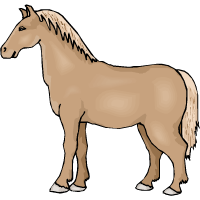 zirgs