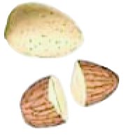 almond