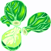 Brüksel lahanası