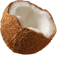 kokosrieksts