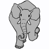 فيل