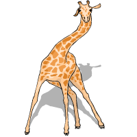 žirafe