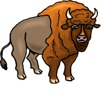 bufalo