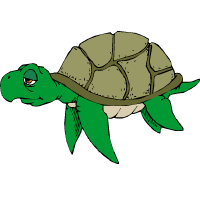 морскакостенурка