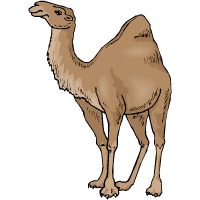 kamielis