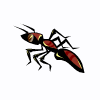 karınca