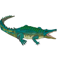 krokodils