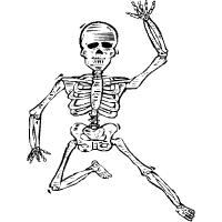 skelets