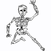 σκελετός