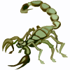 скорпион
