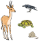 corbeau-gazelle-tortue-rat