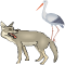 loup-cigogne