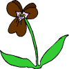 une fleur marron