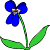 une fleur bleue