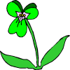 une fleur verte