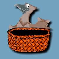 The Bird and<br>the Basket
