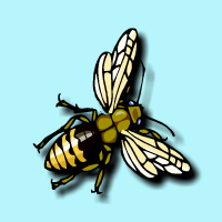 ﻿bee