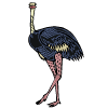 ostrich