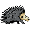 porcupine