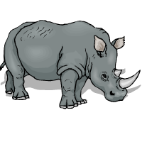 rhinocéros