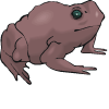 крастава жаба