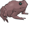 toad