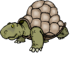 bruņurupucis
